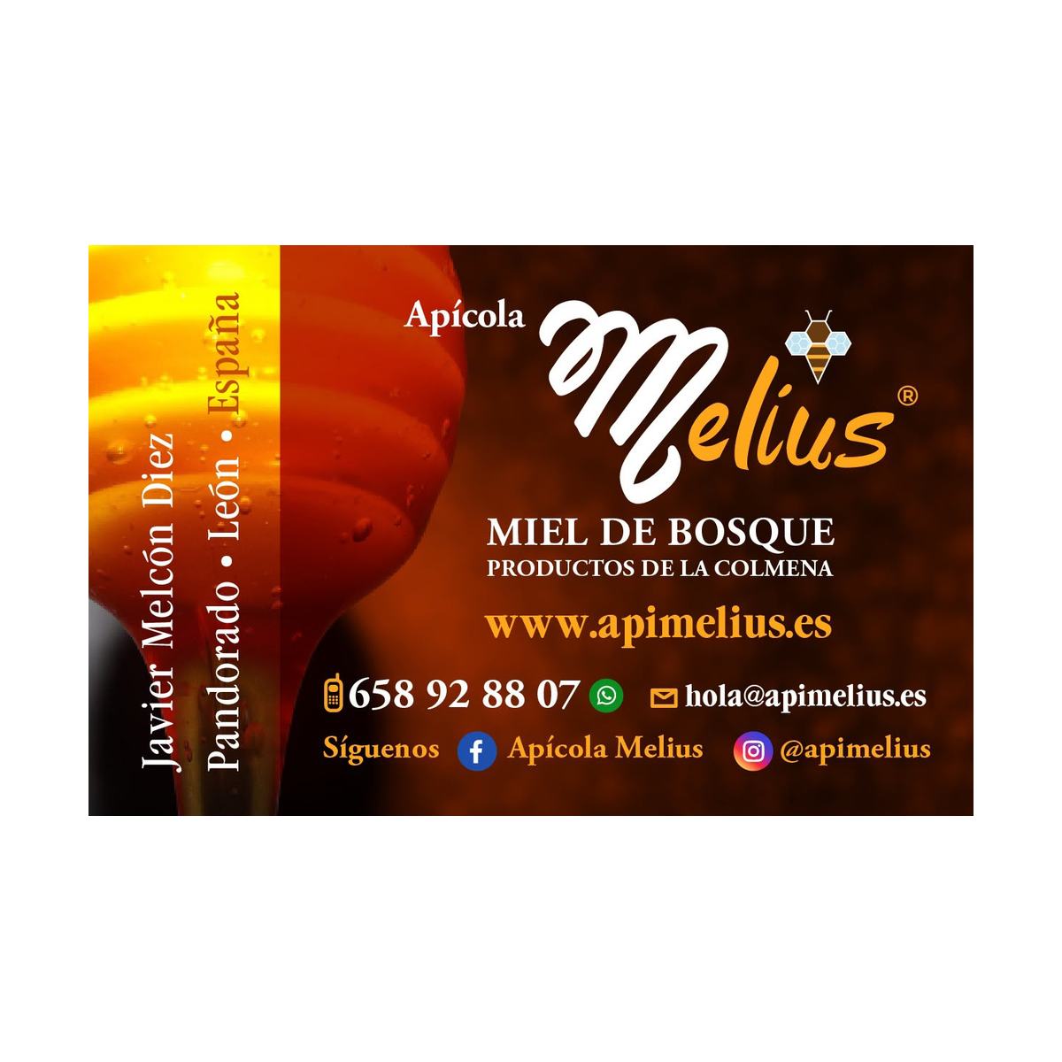 Logotipo de Apícola Melius