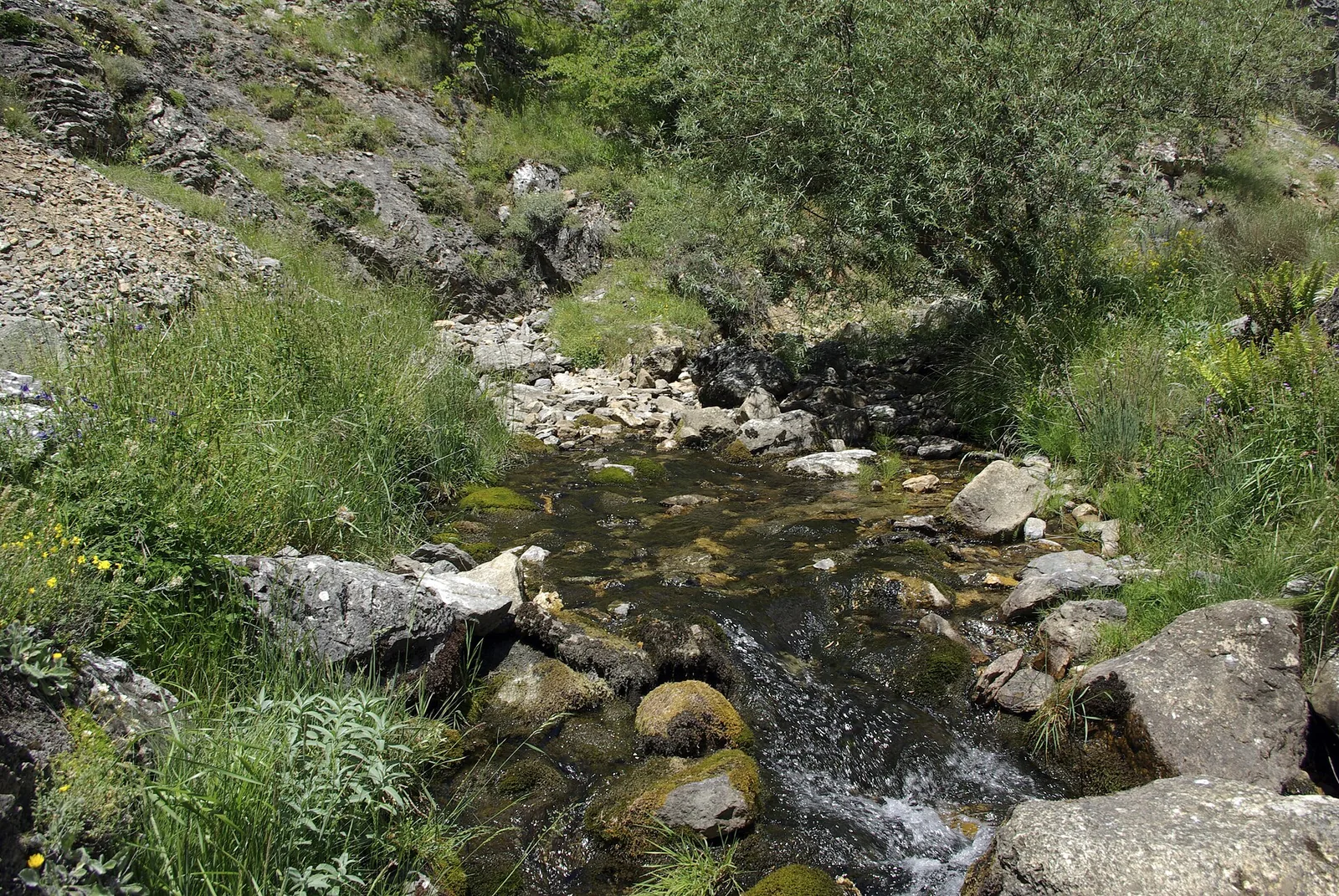 Arroyo y rocas en el entorno de Los Calderones, municipio de Carrocera