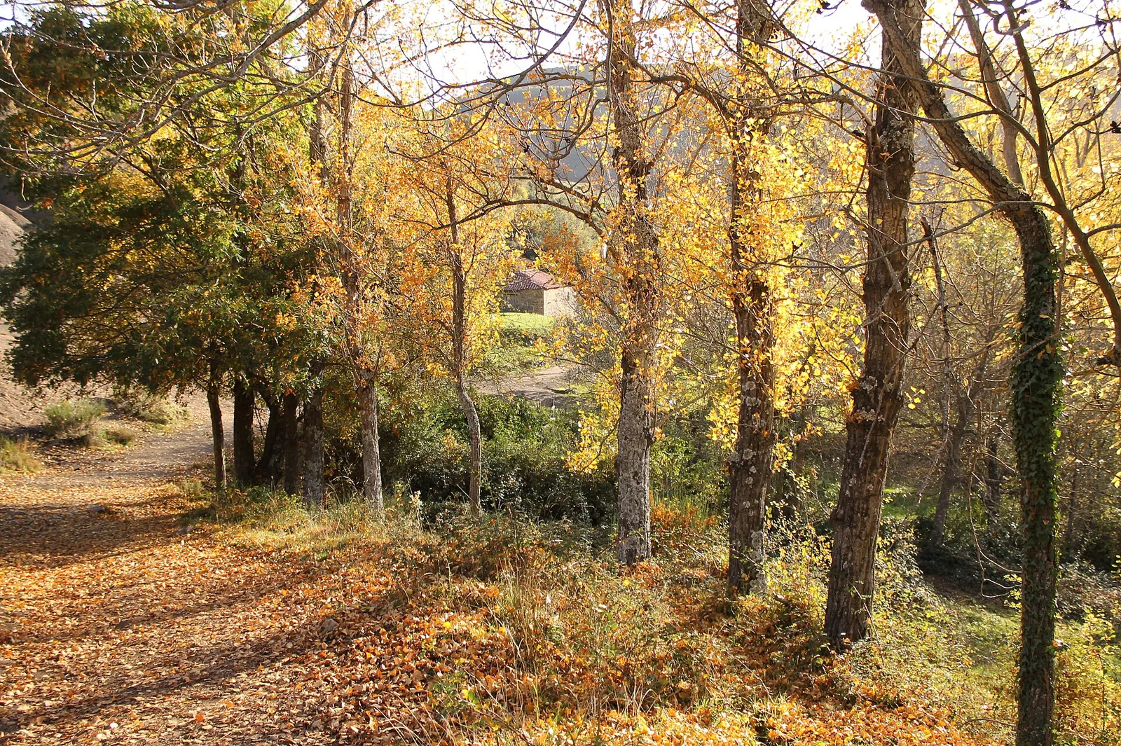 Paisaje de montaña en el municipio de Carrocera